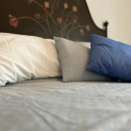 Agriturismo Il Campagnino クレモナ エクステリア 写真
