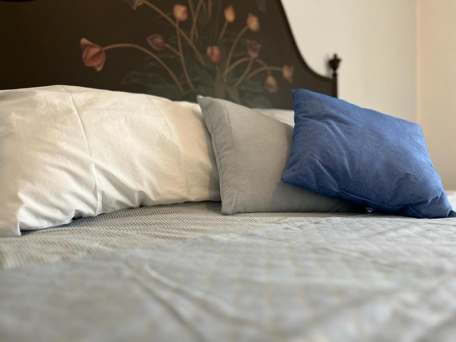 Agriturismo Il Campagnino クレモナ エクステリア 写真