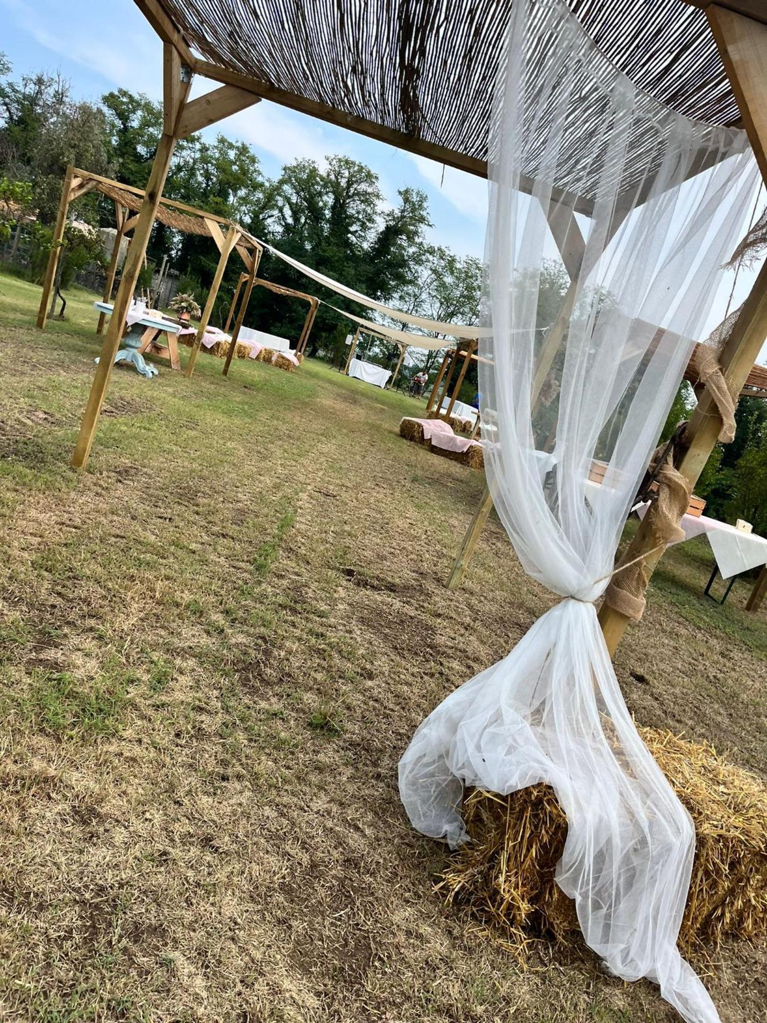 Agriturismo Il Campagnino クレモナ エクステリア 写真