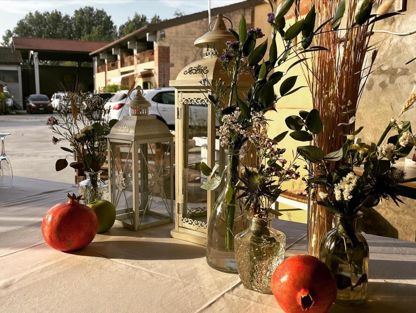 Agriturismo Il Campagnino クレモナ エクステリア 写真