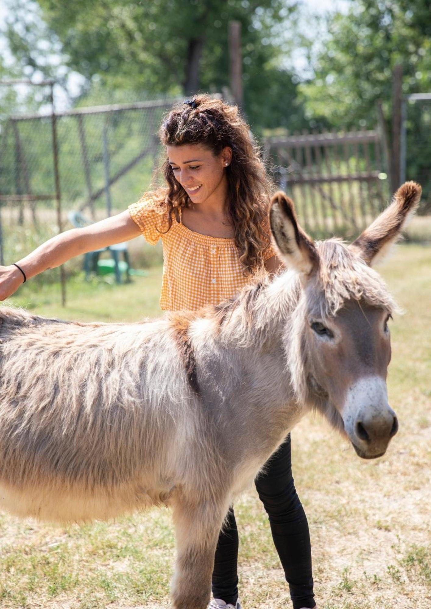 Agriturismo Il Campagnino クレモナ エクステリア 写真